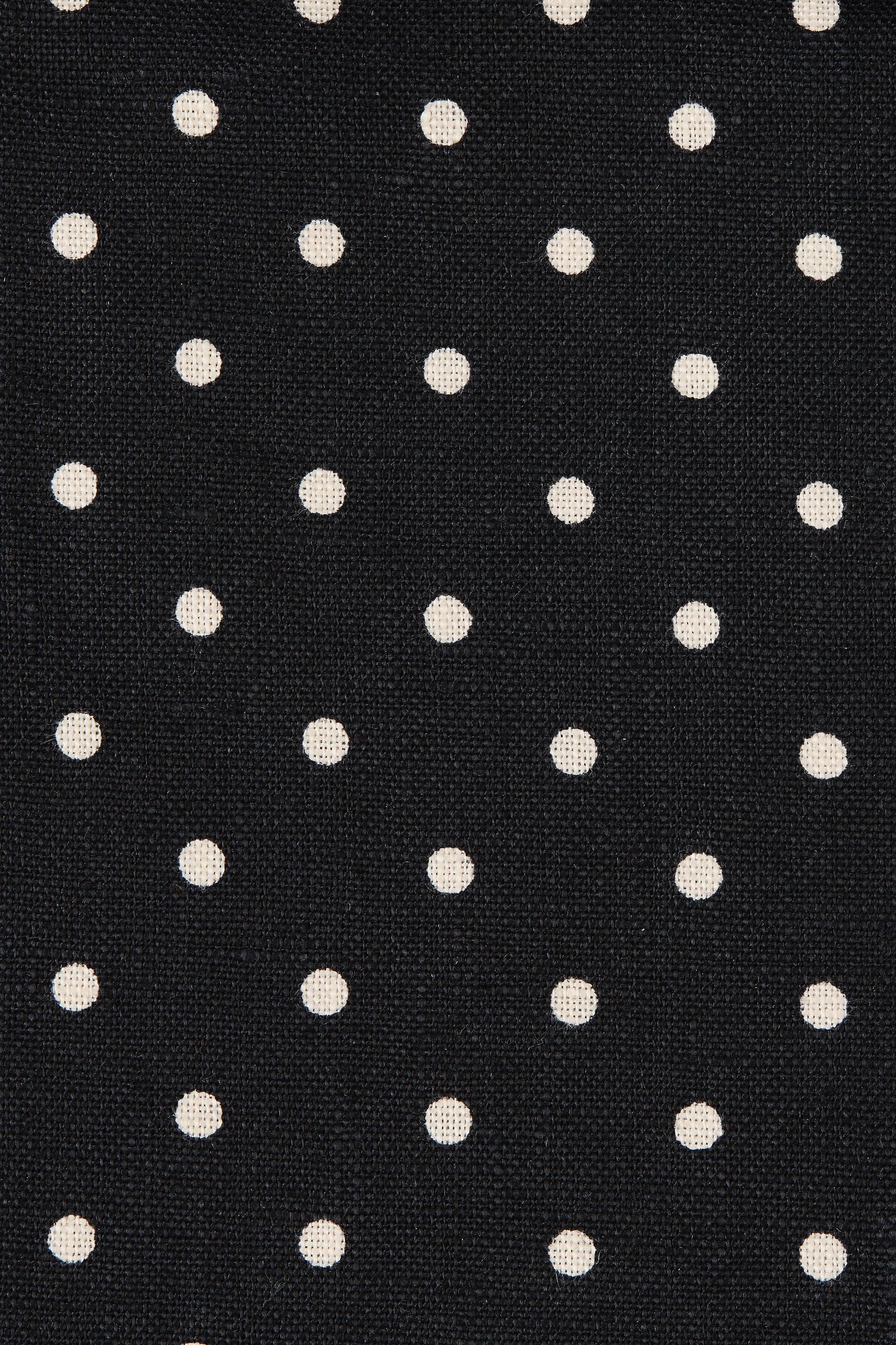 Co-op California Boutique Petro Top Lola in Polka Dot Black Cream