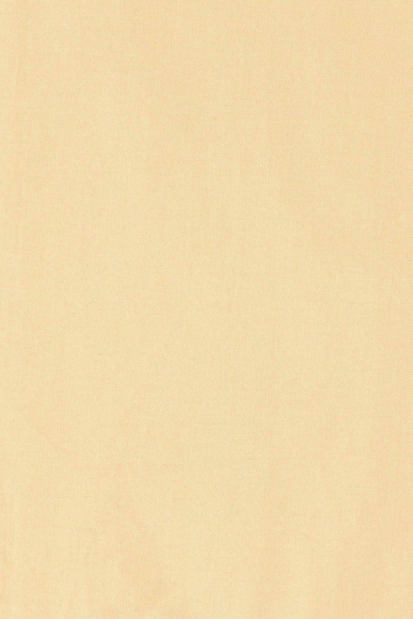 Co-op California Boutique Aurelia Cotton Top in Daffodil Yellow